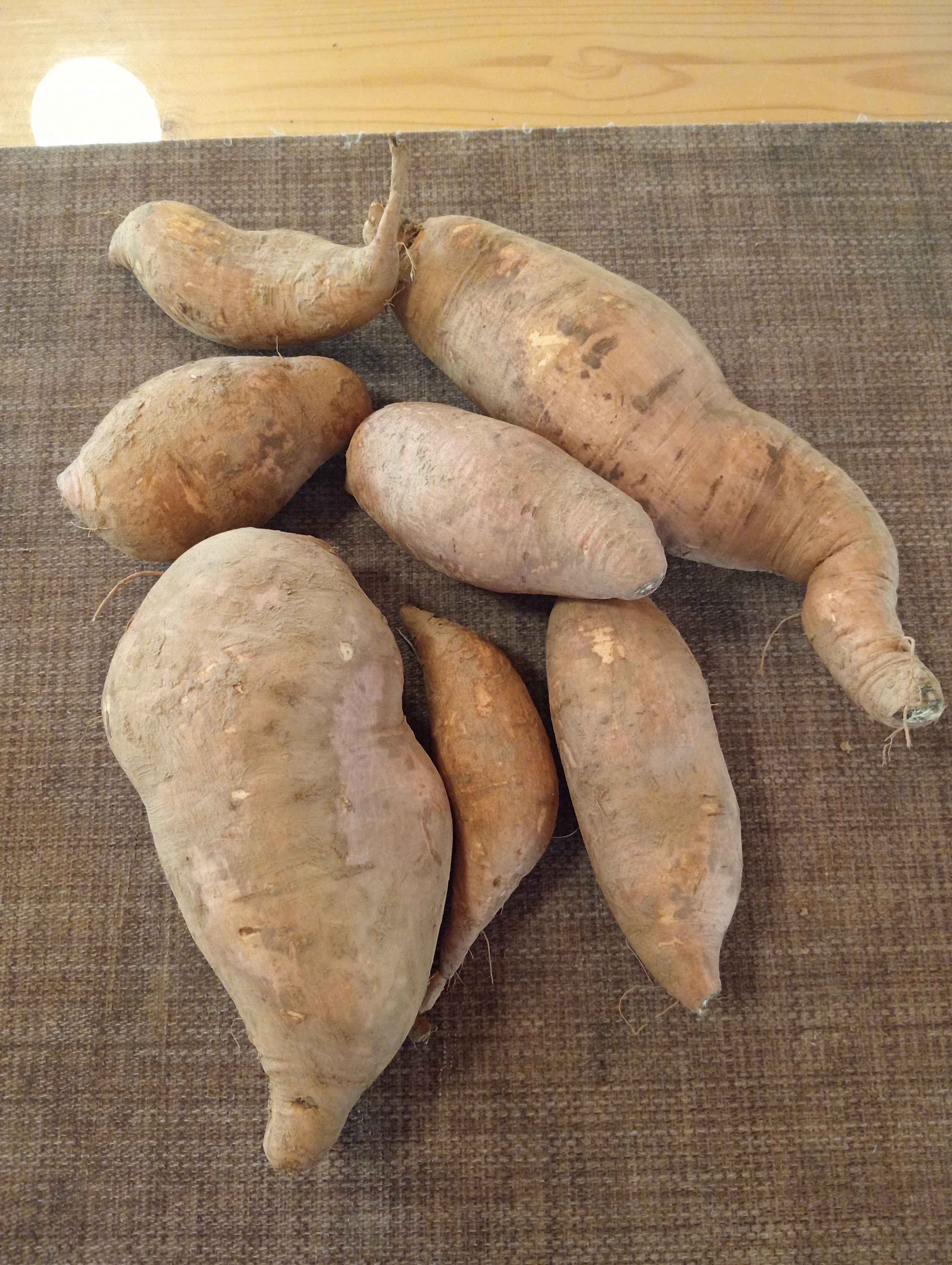 Patata americana 